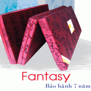 NỆM BÔNG ÉP GẤP 03 - VẠN THÀNH