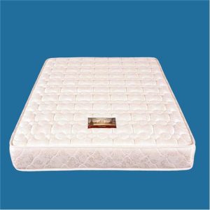 NỆM LÒ XO ƯU VIỆT - WINTER VÀNG