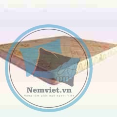 NỆM MOUSSE ÉP ( CAO SU TỔNG HỢP ) VIVIAN