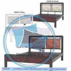 GIƯỜNG SẮT HỘP TRƯỜNG THÀNH T03H