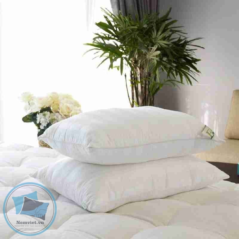 GỐI NẰM TƠ TẰM EDENA