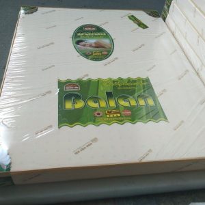 NỆM DẺO CAO CẤP BALAN ( CAO SU NON )