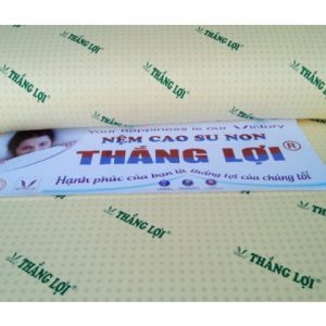 NỆM CAO SU NON THẮNG LỢI