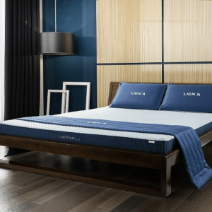 NỆM CAO SU LIÊN Á LA DOME COOL