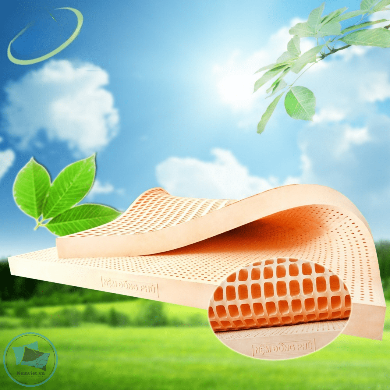 NỆM CAO SU ĐỒNG PHÚ FRIENDLY