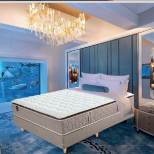 NỆM LÒ XO NORMABLOCK LÓT CAO SU DUNLOPILLO - PLATINUM SUITE