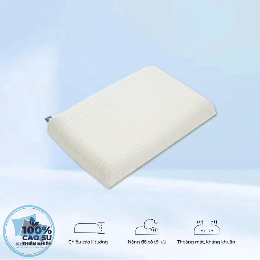 Gối cao su Felix - Gối Cake